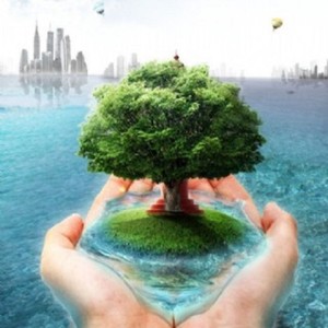 五百年沧海桑田