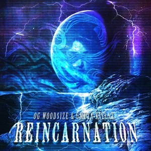 Reincarnation