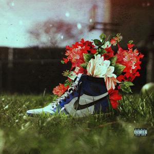 Coulda woulda shoulda (Explicit)