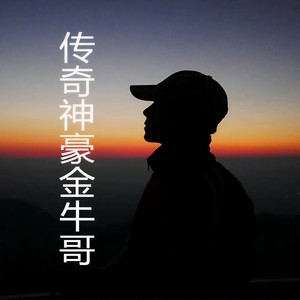 传奇神豪金牛哥