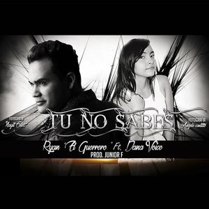 Tu No Sabes (feat. Dana Voice)