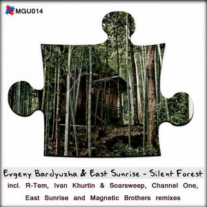 Silent Forest (Ivan Khurtin & Soarsweep Remix)