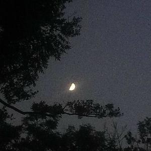 wishing well (Explicit)