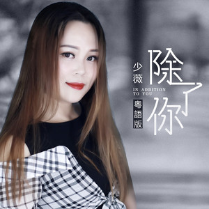除了你 (粤语版伴奏)封面