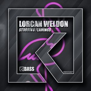 Strobing Flamingo (Original Mix)