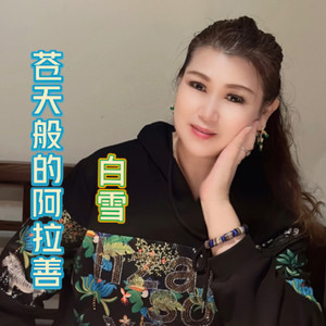 苍天般的阿拉善封面