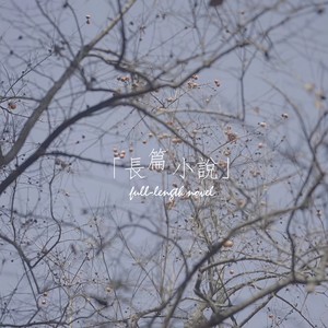 长篇小说