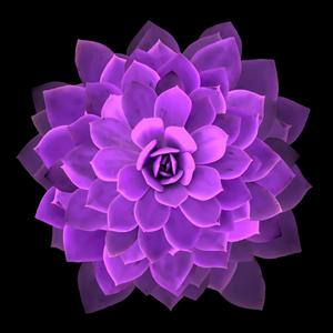 Nine Tailed (Explicit)