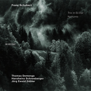 Piano Trio No. 2 in E-Flat Major, D. 929 - Schubert: Piano Trio No. 2 in E-Flat Major, D. 929: IV. Allegro moderato