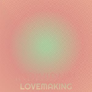 Individual Lovemaking