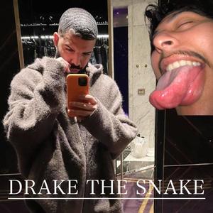 Drake The Snake