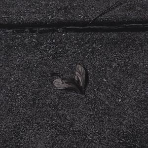 shell // Hell (Explicit)