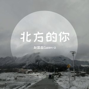 我想你不会爱我