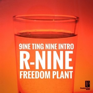 R nine-Intro (R nine/Freedom Plant Music Remix)