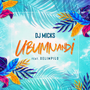 DJ Micks - Ubumnandi