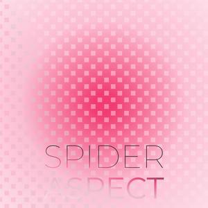 Spider Aspect