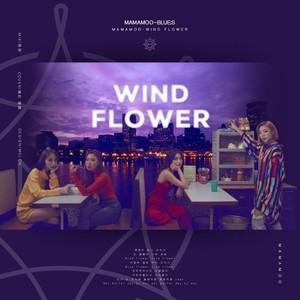Wind Flower