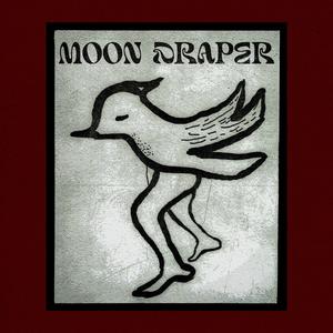 Stranded on the Sea Wall