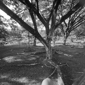 เธอไม่มีหัวใจ