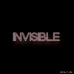 INVISIBLE