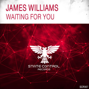Waiting For You (Extended Mix)