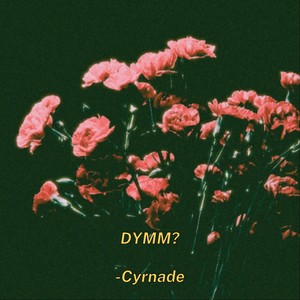 DYMM? Interlude