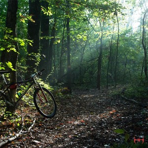 Bike Ride