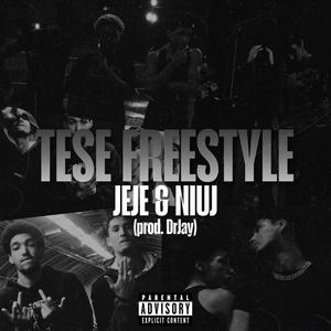 Tese Freestyle (feat. Niuj & dr.Jay) [Explicit]