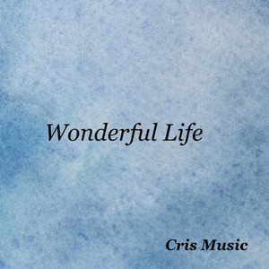 Wonderful Life