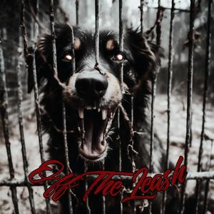 Off The Leash (feat. sxvii) (Explicit)