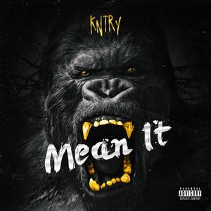 Mean It (Explicit)