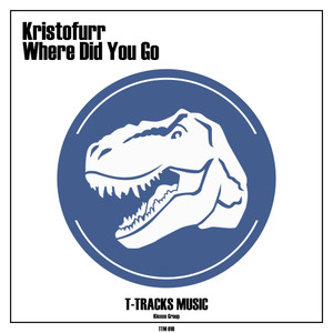 Where Did You Go (Original Mix)