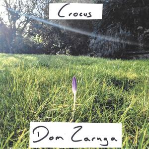Crocus