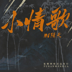 风靡全网的背景despair (DJ弹鼓版)