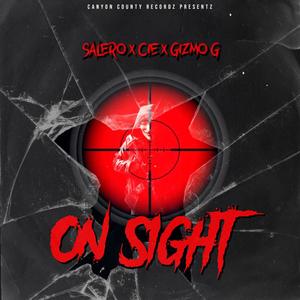 On Sight (feat. Gizmo*G) [Explicit]