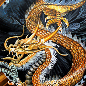 这个小伙想当兵 (DJ版)