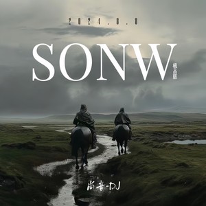 SONW (极品版)