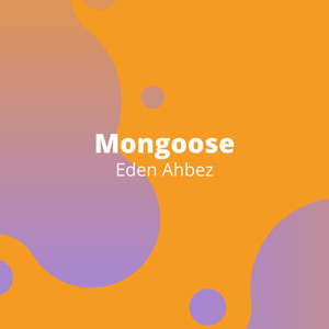 Mongoose