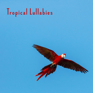 Tropical Lullabies - Best New Age Soft Nature Sounds for Evening Relax in Bed, Total Rest, Calming Down, De-stress & Sleep Peacefully All Night Long