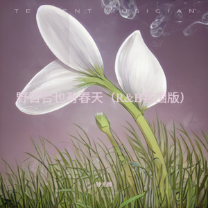 钟无颜 - 野百合也有春天 (R&B氛围版)