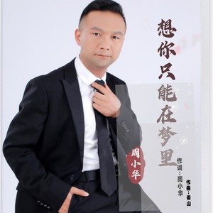 想你只能在梦里 (Dj许伟版)