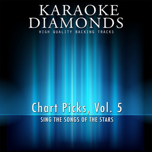Trip Around the Sun (Karaoke Version In the Style of Jimmy Buffett)