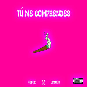 TÚ ME COMPRENDES (feat. Emilove & JUUANCP)