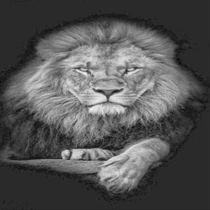 Â.M.IOR - Scar(feat. Chef Toualy) (Explicit)