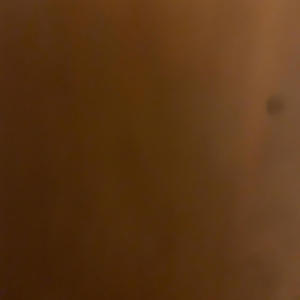 Swamp Freestyle (feat. Reaper19 & BEZY) (Explicit)