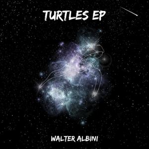 Turtles EP