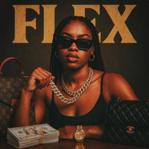 FLEX (feat. SUBHEAD) (Explicit)