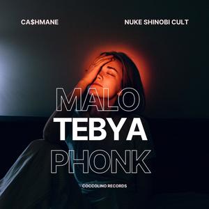 Malo Tebya (Phonk Version)