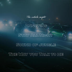 Annoying (feat. daniellesophie)