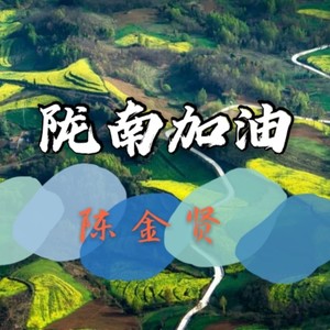 陇南加油